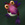 Bpedron