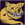 Felis
