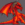 Draco85