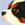 coughing-dog