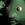 EvilSeed