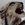 makiuchi