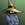 wizard4hire