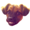 KevinButtchin