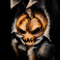 ninjajohn7