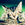 krool-kitty419