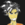 stripmakerF