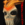 IMONFIREGUY