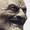 MisterDoomHead