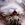 7wingsofchaos