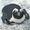 pinguinjosef