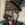 BraddScott
