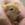Gerbil