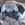 pugdude