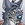 SethBlizzard