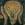 Envilid