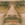 THEDOOKIE