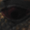 Davarn