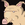 Piggler