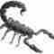 scorpion14730