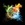 PKfireice