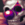 squf