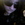 deathpony94