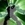 STARCRAM452