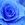 Bluerosefma