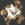 ForgottenSteel