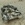 Gastonloco13579