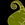 LongLeafsFriends