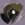Sammycrow