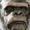 Scottishchimp666