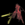 ash90trendkil