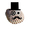 MrMollusk