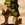 jacckieman3