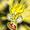 sonicmariojry