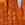 thebigpopedude