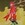 gamefreak1245