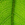 GreenPiranha