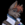 WolfFang312
