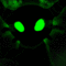 demonrunner23