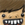 Toast-Tony