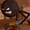 flamedude1414
