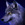 CodeWolfe