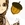 BriAcorns