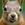 Mooper112