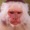 BloodMonkeyInferno