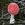 Magic-Mushroom
